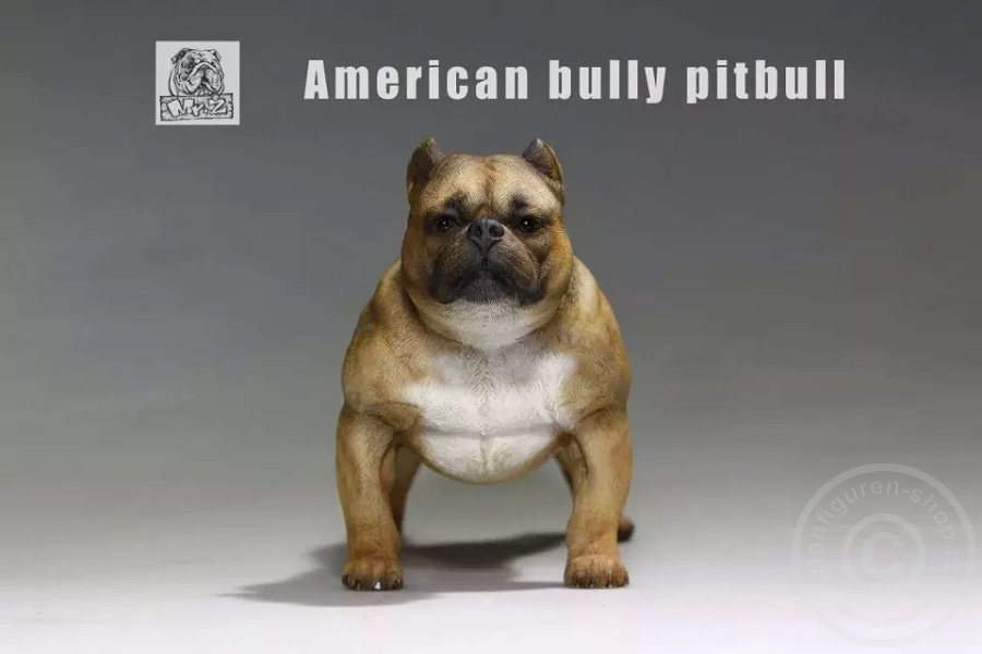 MRZ001-01 American Bully Dog - dark color