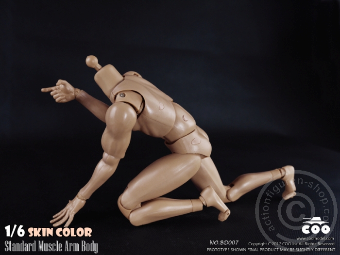 COOBD008-10 Male Body 2.0 - Muscular - 27cm