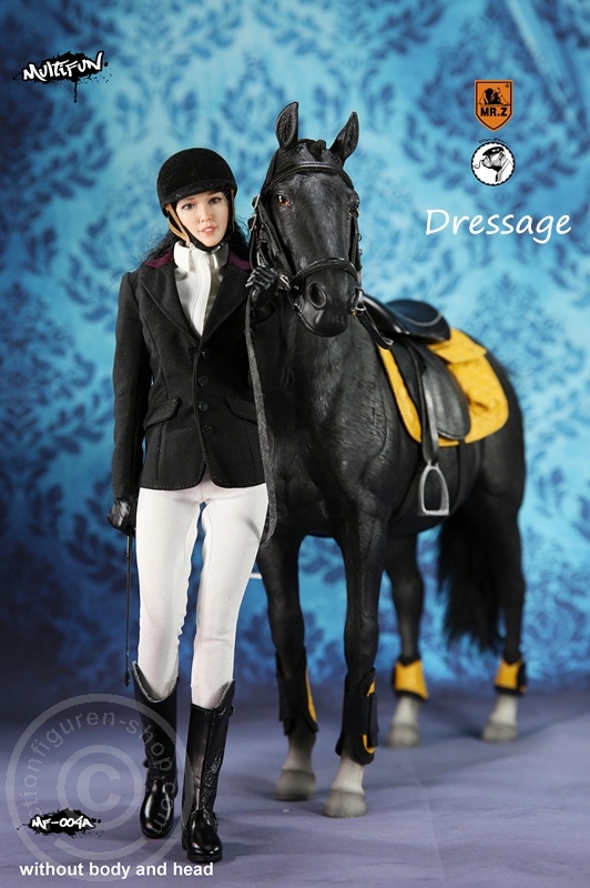 MRZ004A-07 Dressage Set A