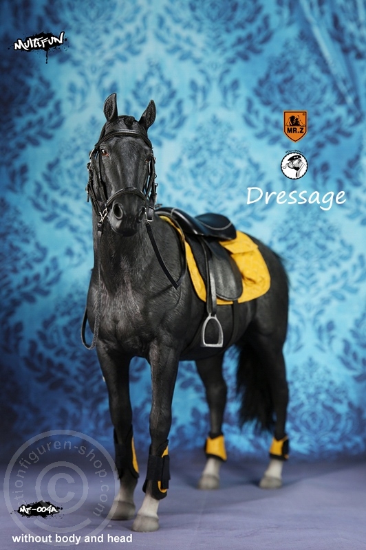 MRZ004A-06 Dressage Set A