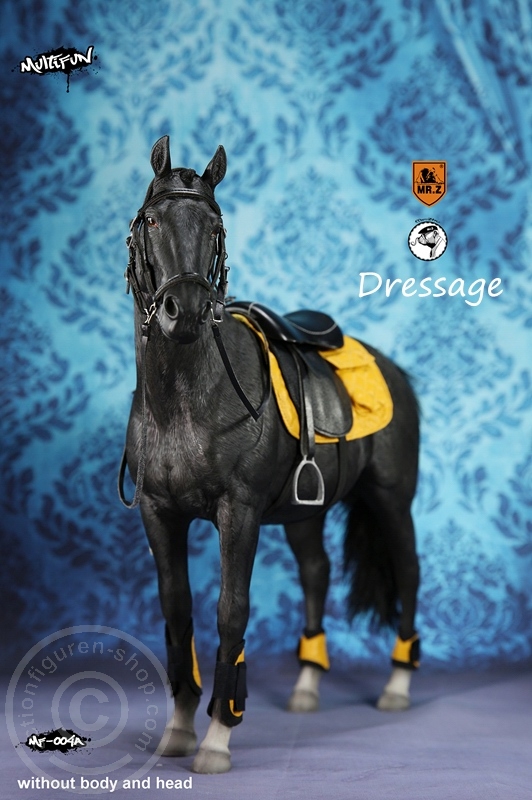 Dressage Set A