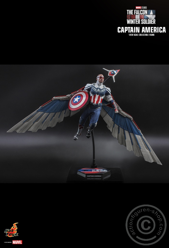 The Falcon and the Winter Soldier - Captain America - TMS040 The Falcon and the Winter Soldier - Captain America - TMS040