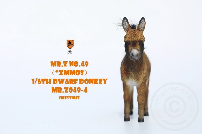 Dwarf Donkey