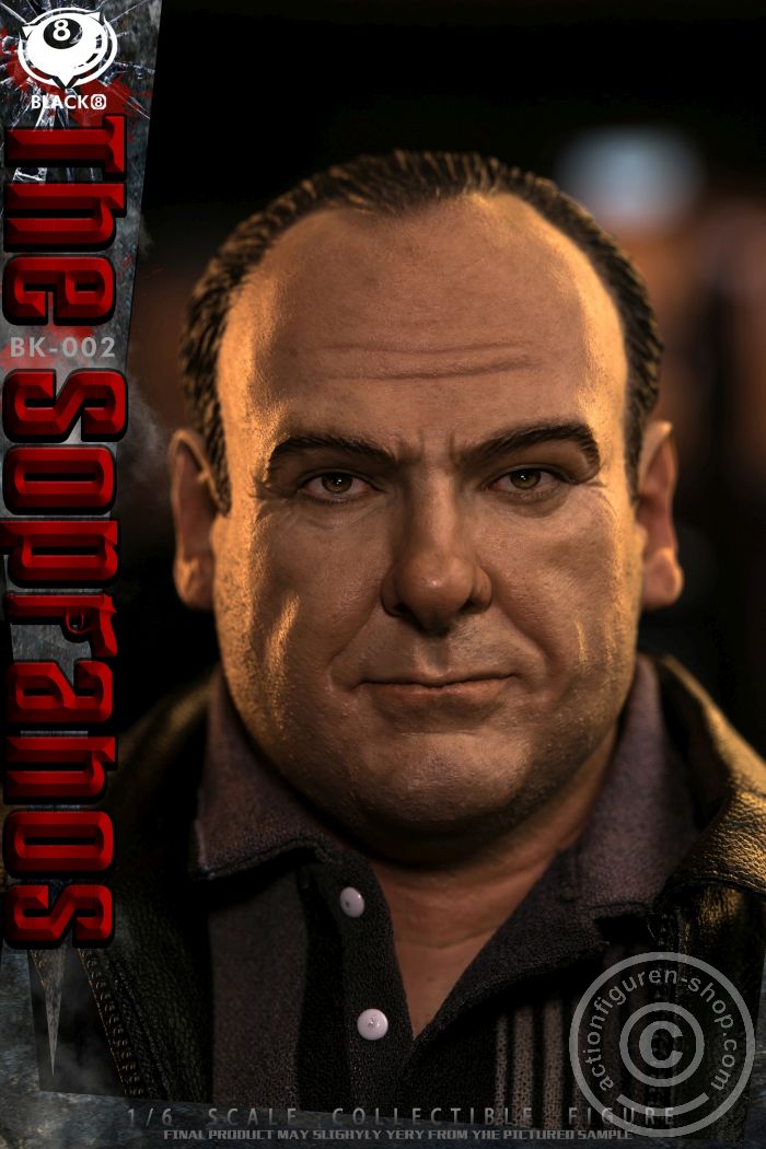 B8-BK002-13 The Sopranos - Tony Soprano