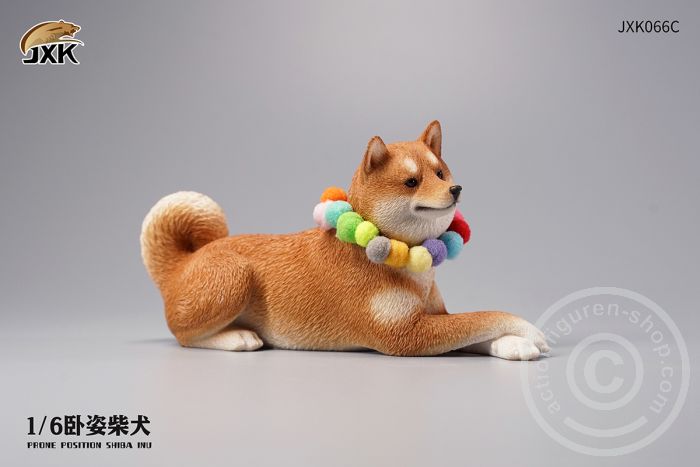 Jxk066C-02 Prone Position Shiba Inu - C