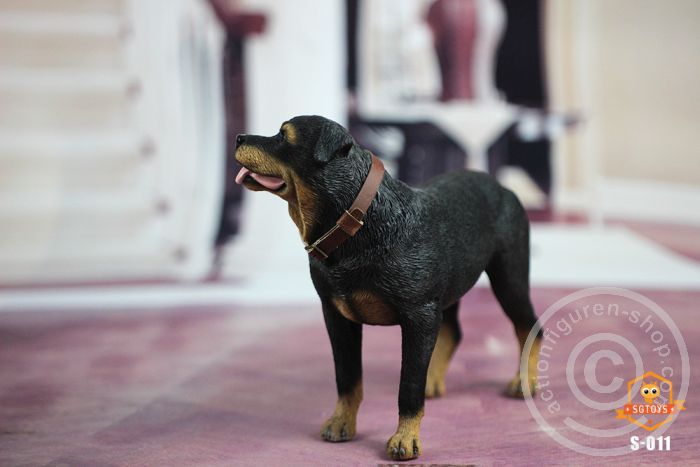 sgt-s011-05YnfyUBxnOXfom Rottweiler - black/brown