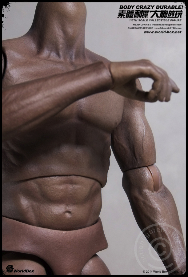 WB-VT005-01 Body - Crazy Durable - Ver. 2.0