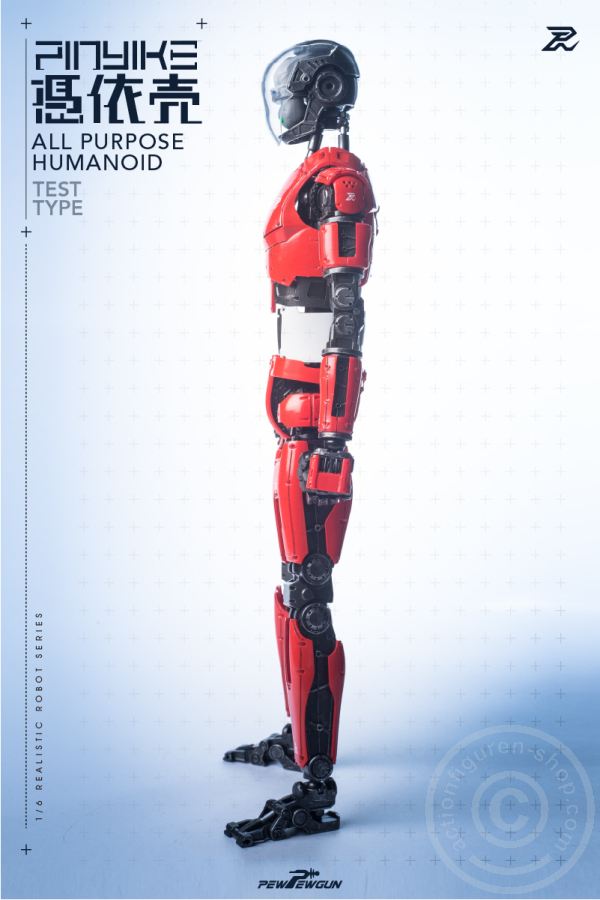 PPG-R-02tqK4SCqRSgQGk PINYIKE - Red: Test Type