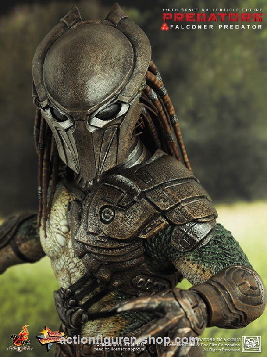 Predators - Falconer