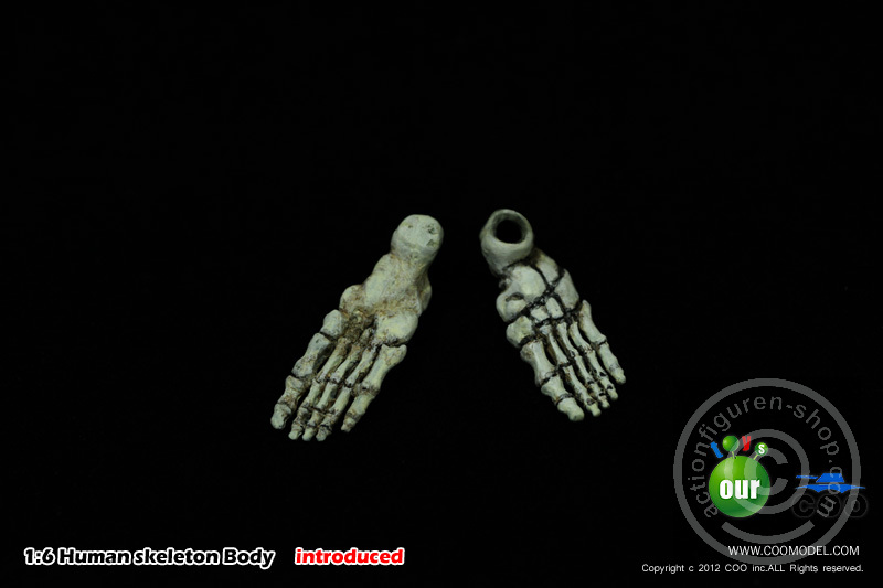 Skeleton Spear Soldier - Human Skeleton in 1:6