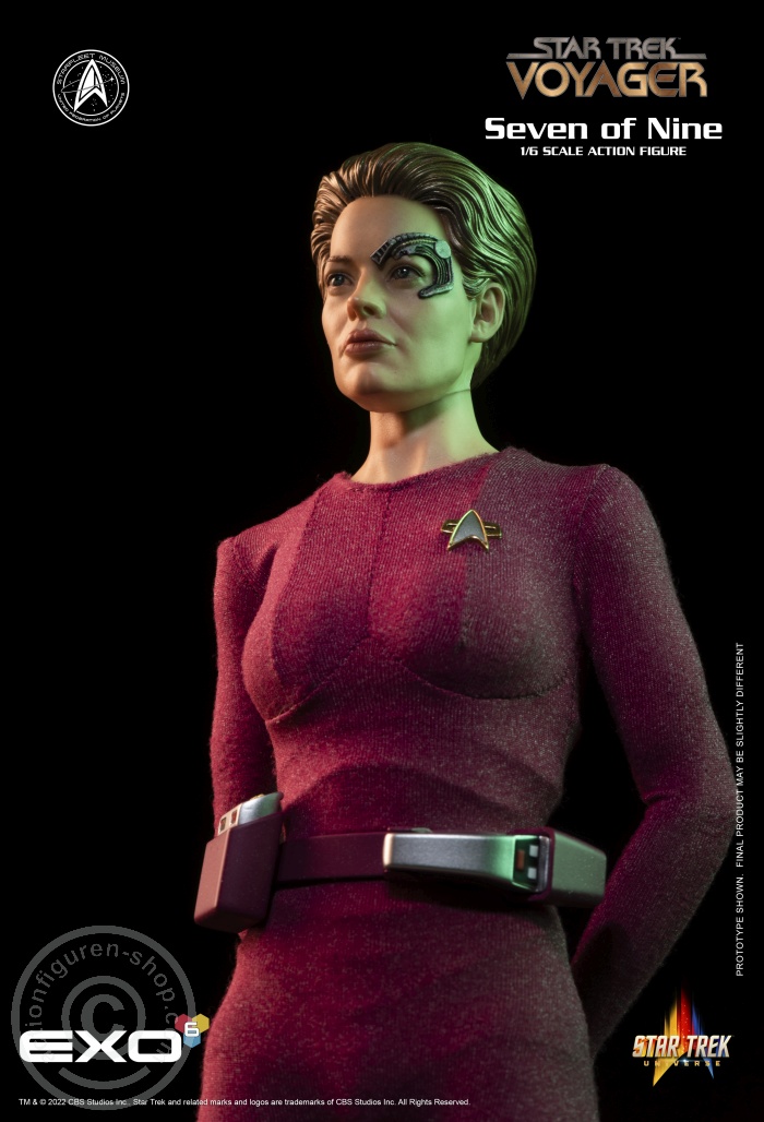 Star Trek: Voyager - Seven of Nine Star Trek: Voyager - Seven of Nine