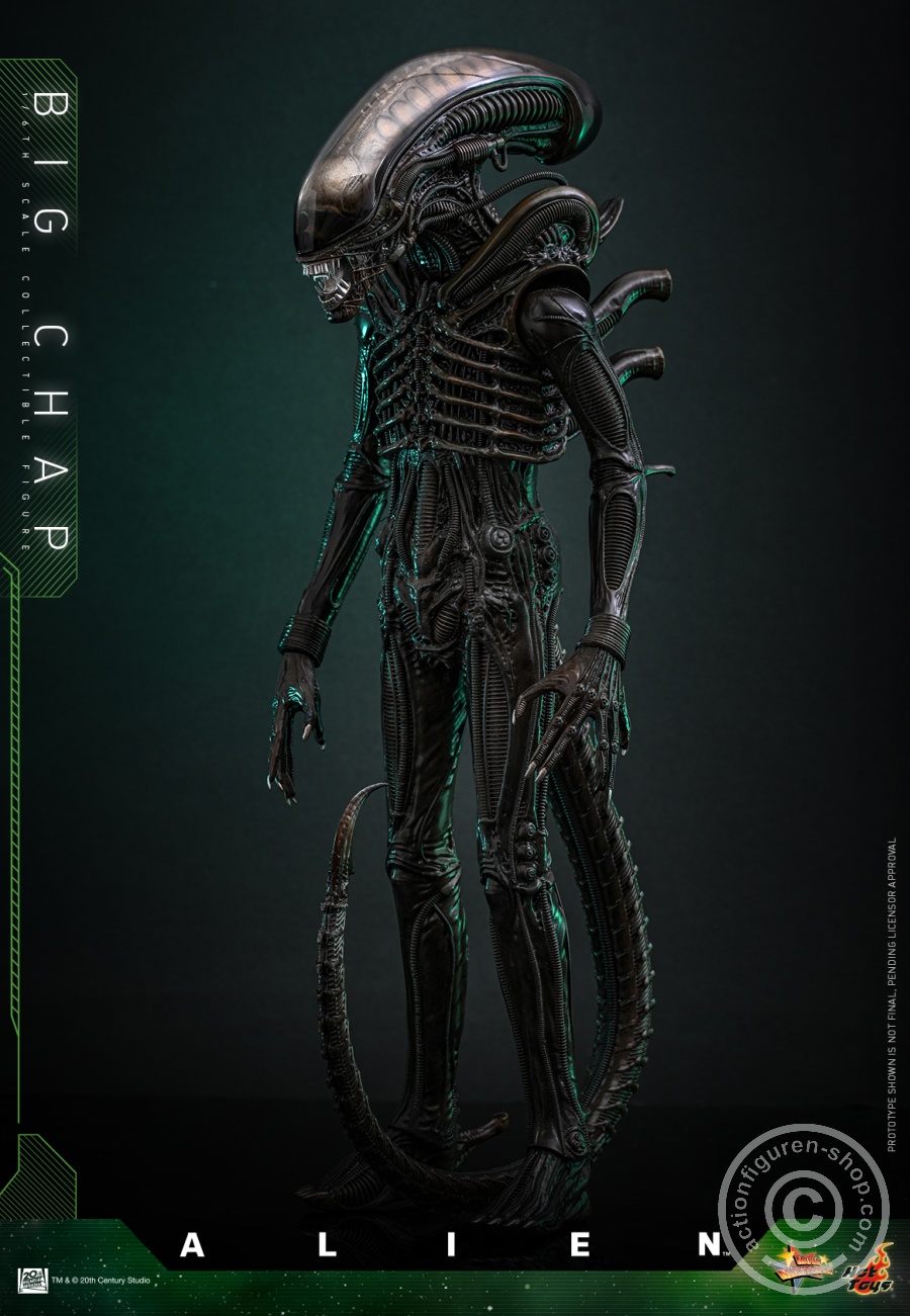 Hot Toys – MMS826 - Alien - 1/6th scale Big Chap Collectible Figure