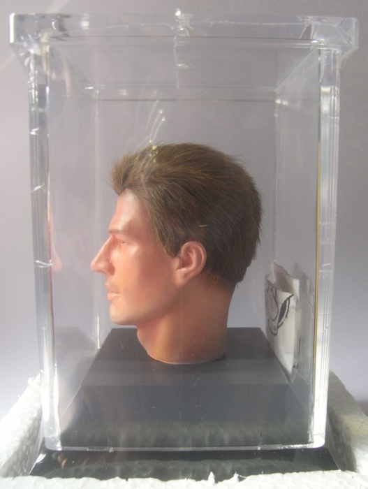 d30001-04zjarUVZ4qPHqdB Ultimate Realistic Head - Braune Haare + Körper