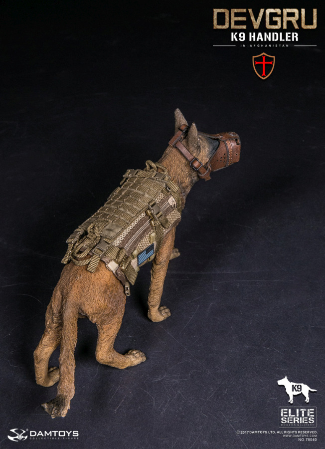 DA78040-19 DEVGRU K9-Handler in Afghanistan