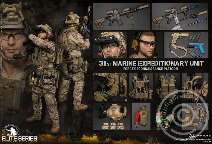 31st Marine Expeditionary Unit - Force Reconnaissance Platoon