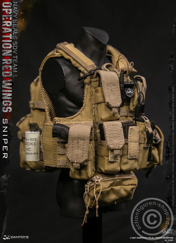 Operation Red Wings - NAVY SEALS SDV TEAM 1 - Sniper