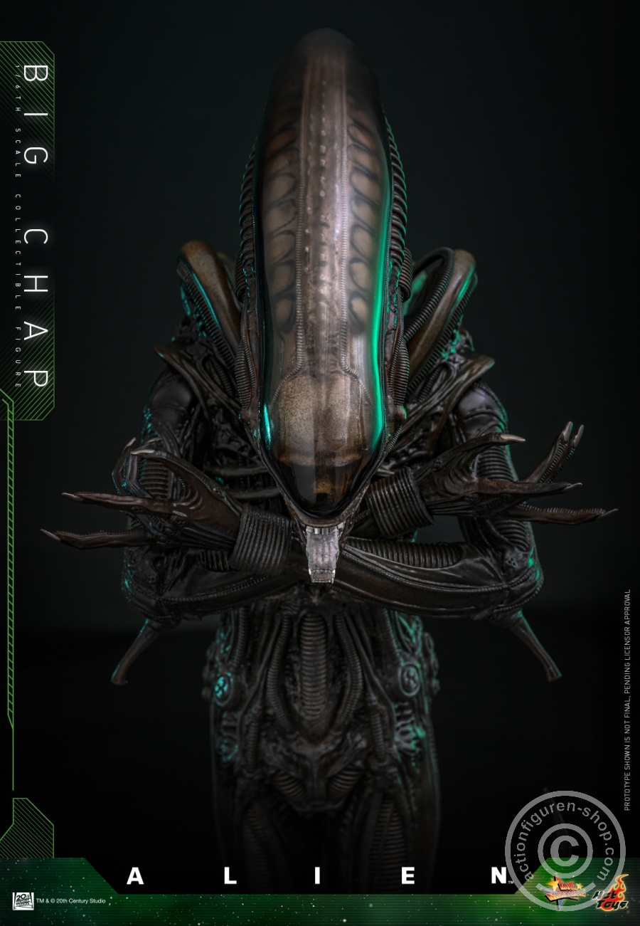 Hot Toys – MMS826 - Alien - 1/6th scale Big Chap Collectible Figure