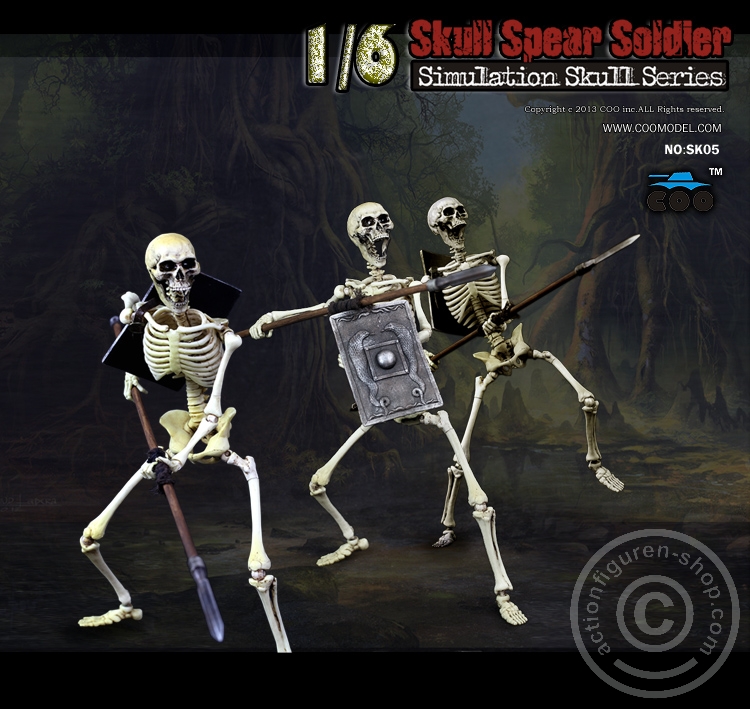 Skeleton Spear Soldier - Human Skeleton in 1:6