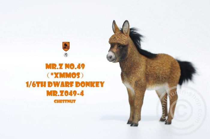 Dwarf Donkey