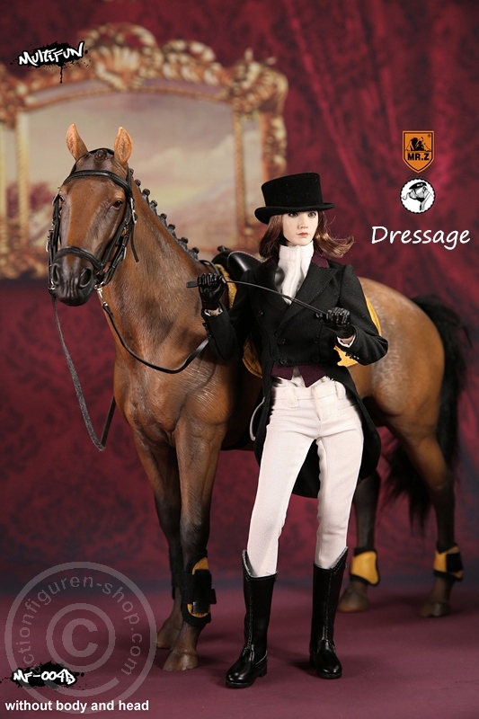 MRZ004B-16 Dressage Set B