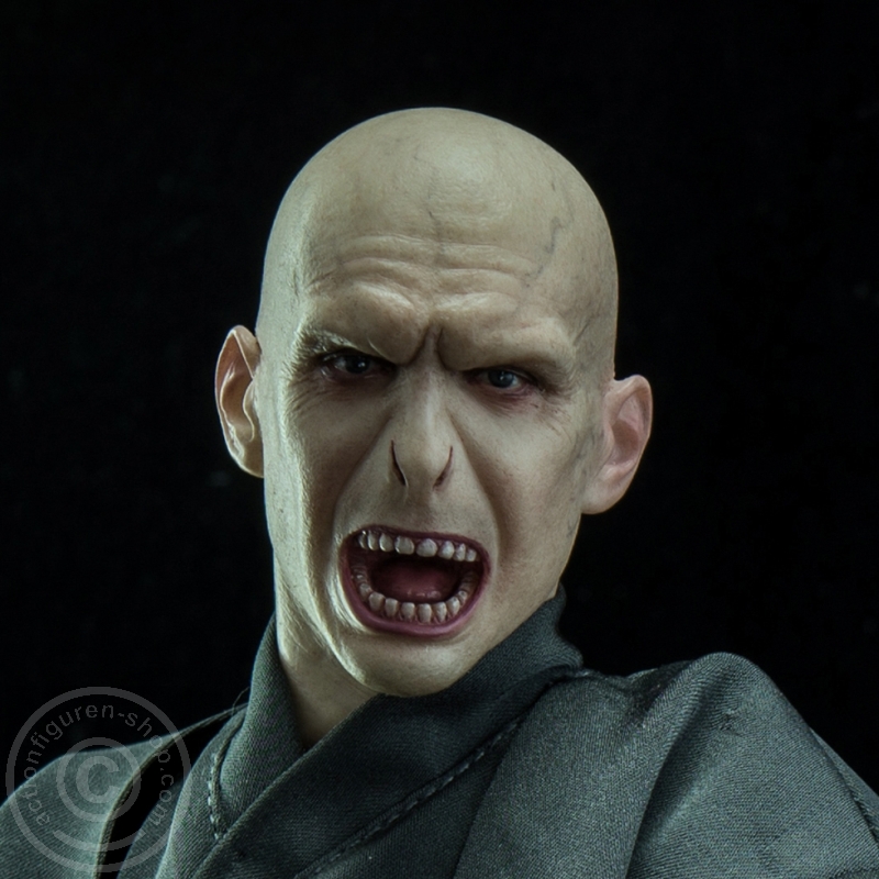 SA010-01 Lord Voldemort - Harry Potter und die Heiligtümer des Todes