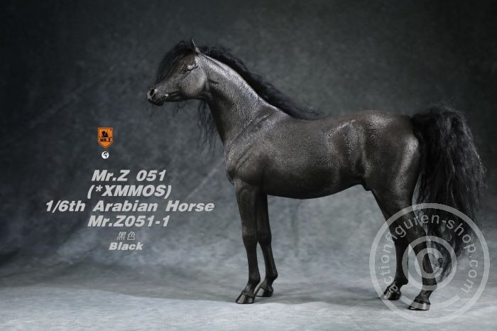 MRZ051-01-12ZSpPcFkOcqNvE Arabian Horse w/ full European Harness - black
