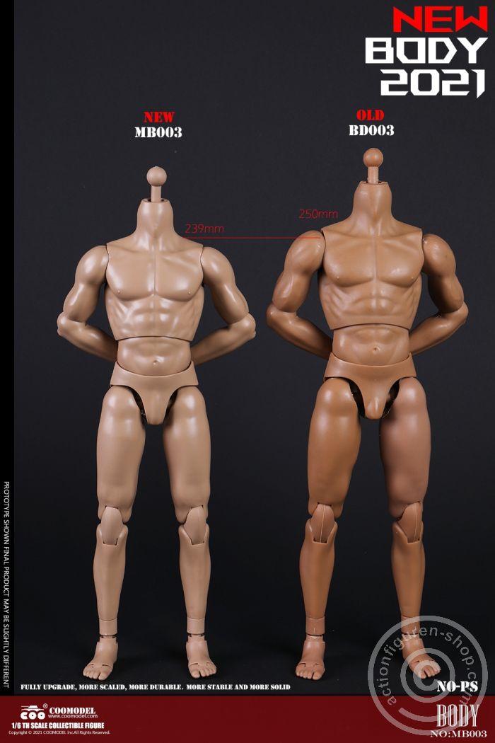 Muscled Male Body - New Type