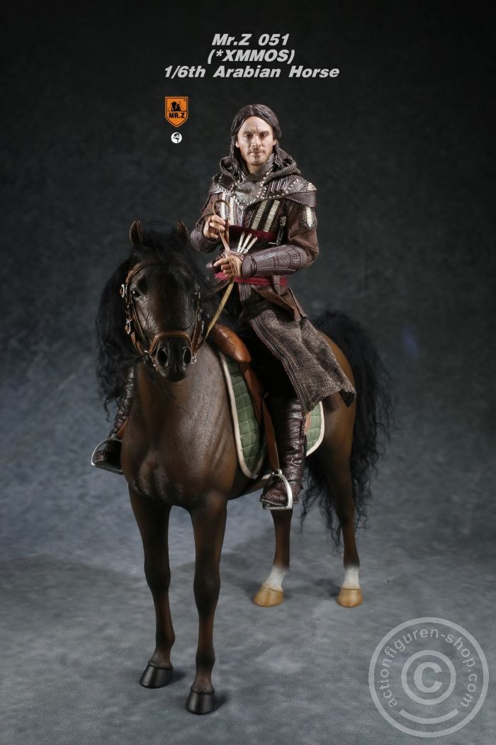 MRZ051-03-09 Arabian Horse w/ full European Harness - dark-brown