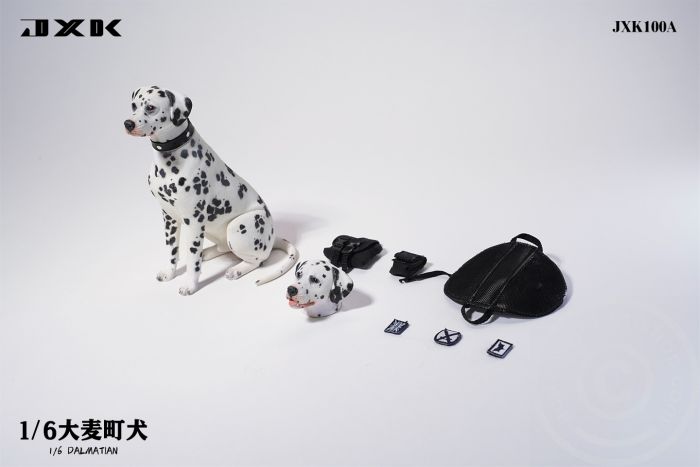 Dalmatian - sitting