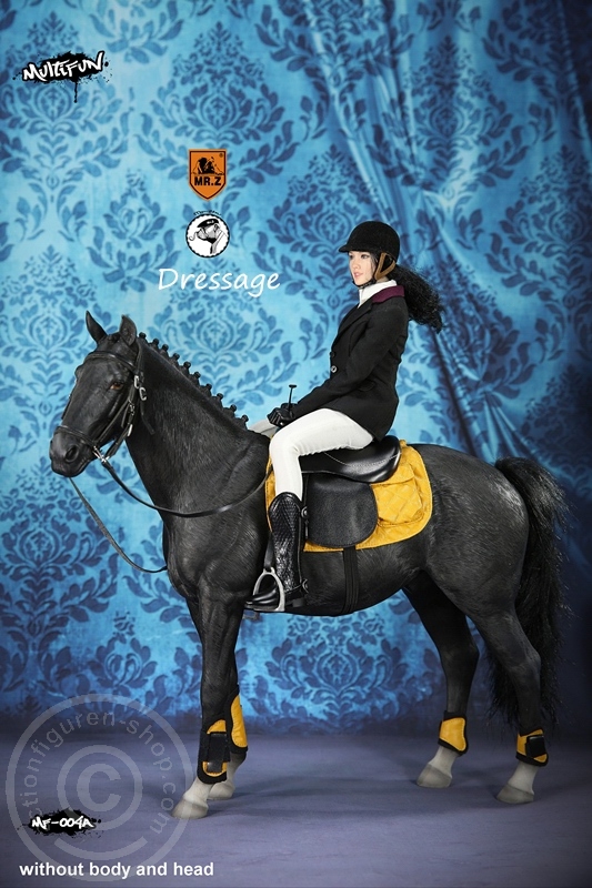 MRZ004A-11 Dressage Set A