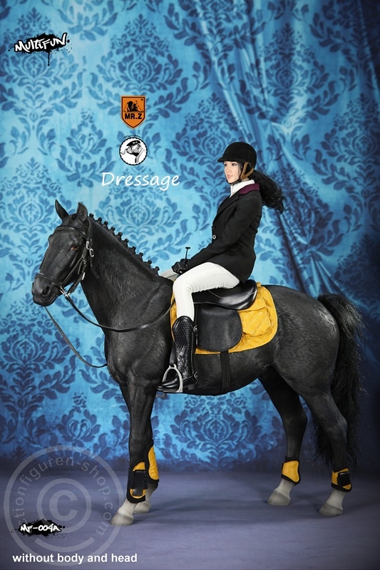 Dressage Set A