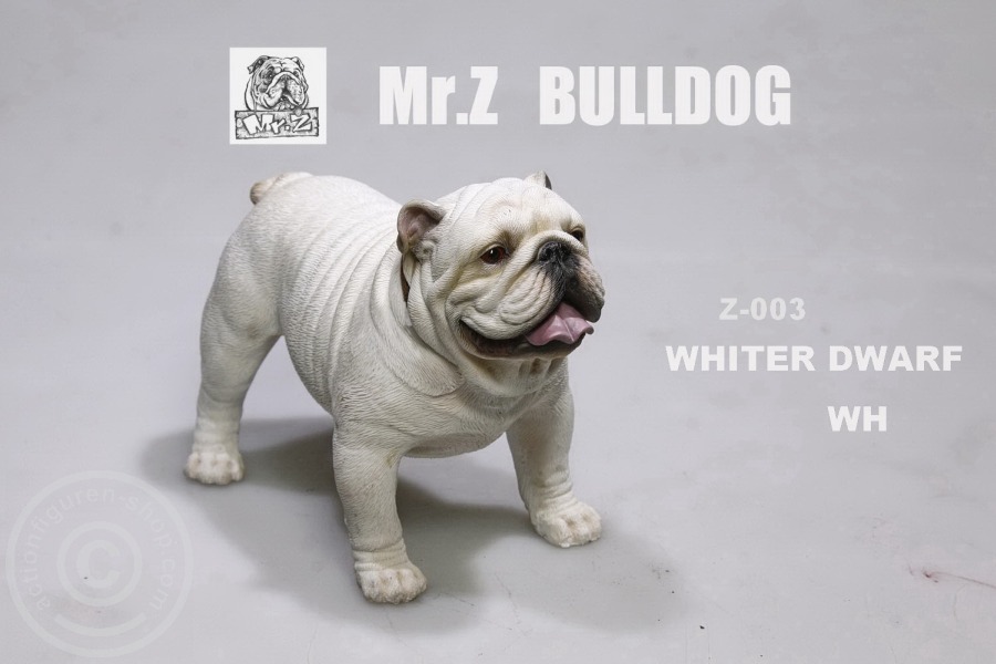 MRZ003-08 British Bulldog - Version 4