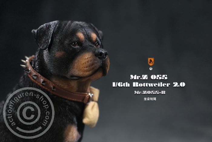 MrZ055B-06 Rottweiler - Version B