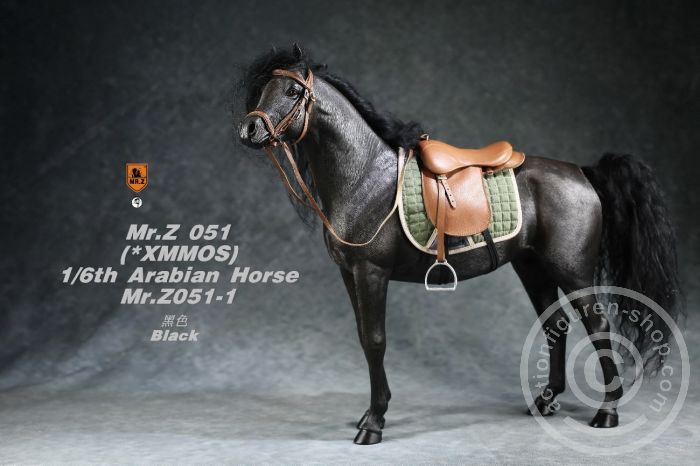 European Harness