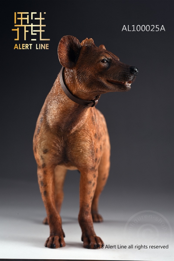 ALL1025AB-06S6Y2cubAVxy2v Crocuta - 1/6 scale