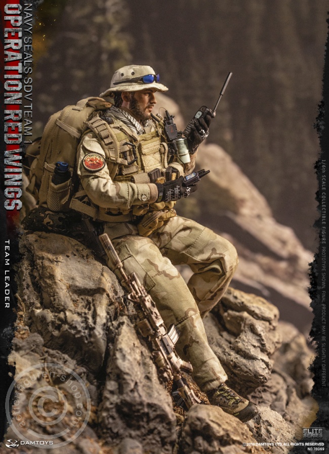 DA78069-120rmgGph1LMbOn Operation Red Wings - NAVY SEALS SDV TEAM 1 - Team Leader