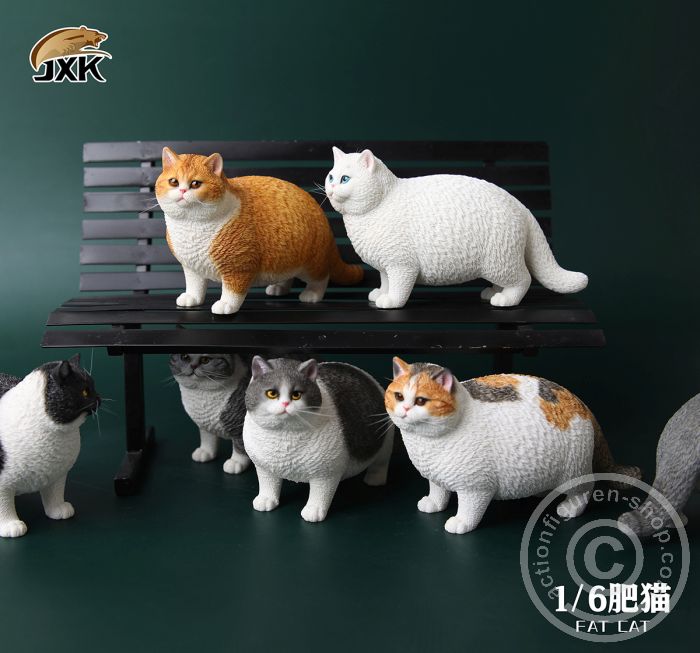 Fat Cat - B