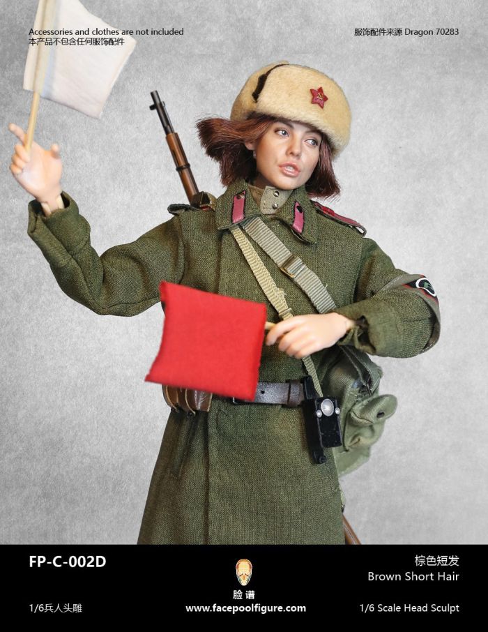 Kopf - weiblich - weiß - brown short Hair