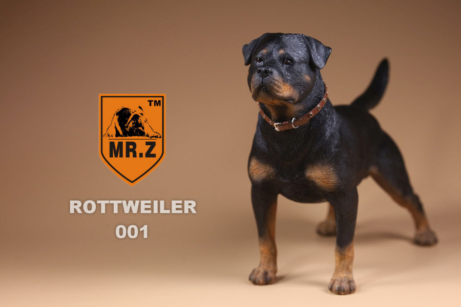 German Rottweiler - LZW001