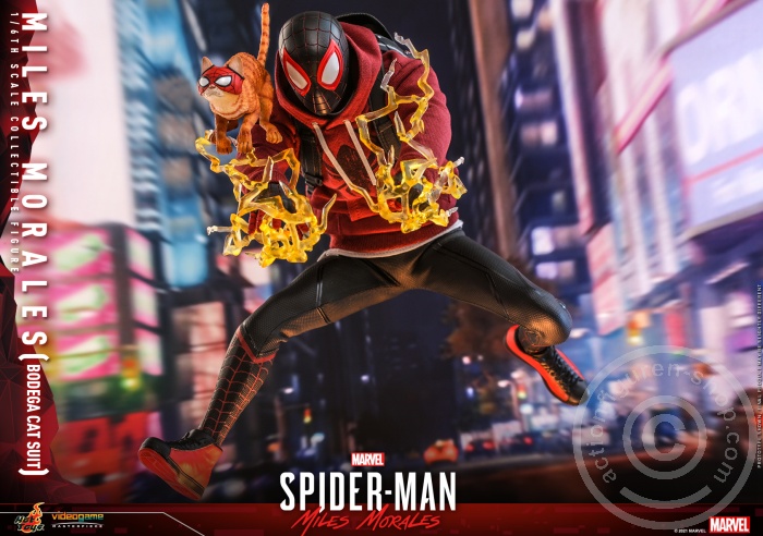 607874-16 Marvels Spider-Man - Miles Morales - VGM50