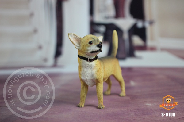 sgts010b-024g0oIgV9pUUnb Chihuahua Dog (light Color)