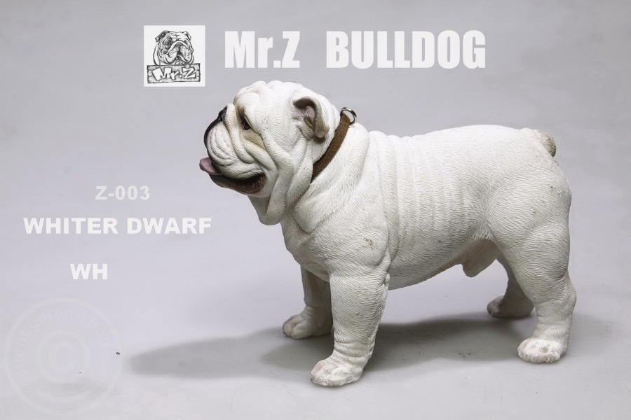 MRZ003-04 British Bulldog - Version 4