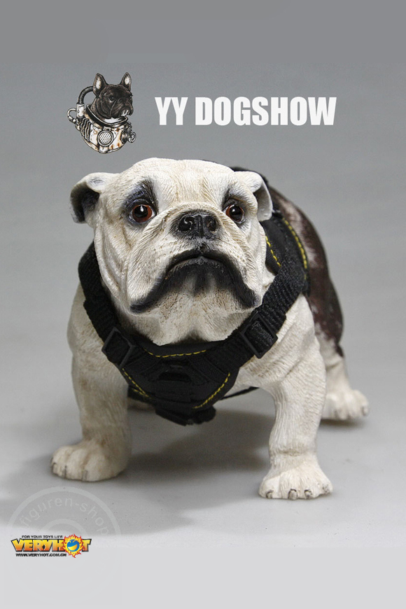 Dog Show Set