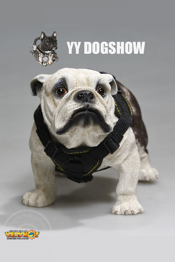 VH1045-10 Dog Show Set