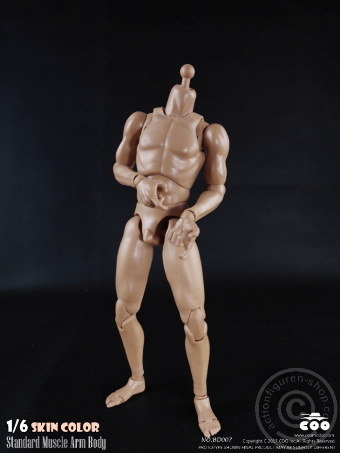 COOBD008-03 Male Body 2.0 - Muscular - 27cm