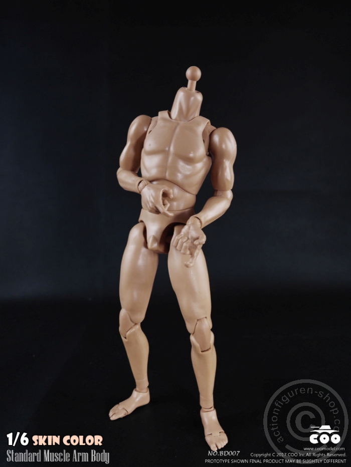 Male Body 2.0 - Muscular - 27cm