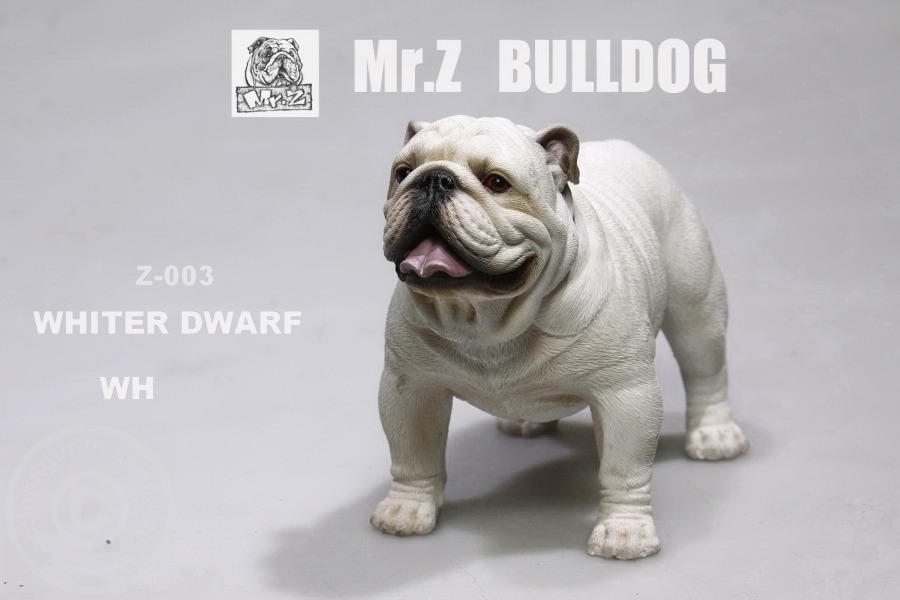 MRZ003-03 British Bulldog - Version 4