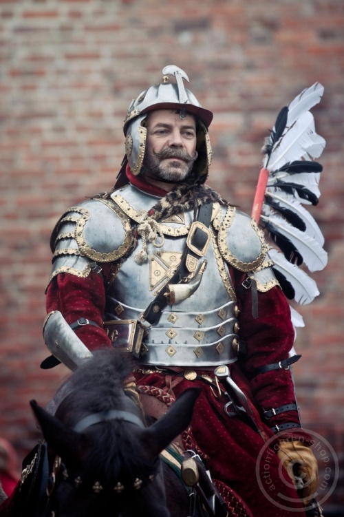 Winged Hussar (Standard Version) - Series of Empires