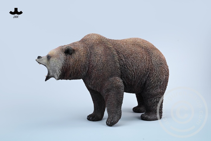 Brown Bear - roaring