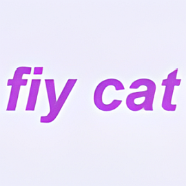 FIY cat Toys